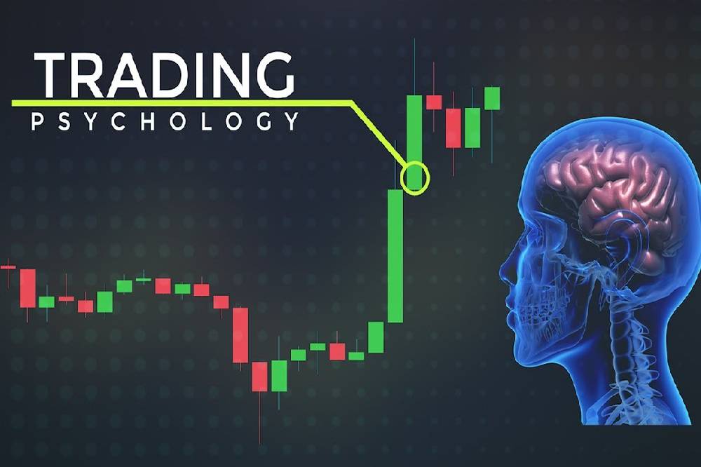 Cognitive biases in financial markets